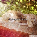 Sleep Sounds of Nature - Thought Revoke