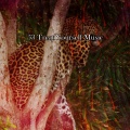 Sleep Sounds of Nature - Bedroom Freedom