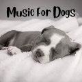 Music For Dogs、Music For Dogs Peace、Relaxing Puppy Music、Calm Pets Music Academy - Joyful Sleep