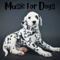 Music For Dogs Peace、Music For Dogs、Relaxing Puppy Music、Calm Pets Music Academy - Relaxing Rhythms for Canines