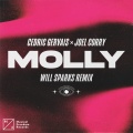 MOLLY (Extended Mix|Will Sparks Remix)