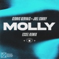 MOLLY (Extended Mix|ESSEL Remix)