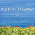 悠扬 - 你是我今生最美的情缘