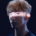 楼小虞 - Maestro