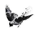 Caine - Bird Infested (Explicit)