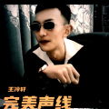王冷轩 - 完美声线 (王冷轩 remix) (Remix)
