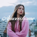 Aprovéchame (Explicit)