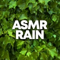 Sounds Of Nature - Nature Music Relaxation