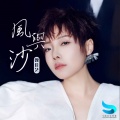 魏佳艺 - 风与沙