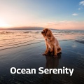 Ocean Serenity