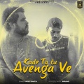 Mohit Bhatia - Kade Ta Tu Avenga Ve