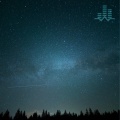 Summer Night Cicadas, Crickets, and Katydids (Loopable No Fade)