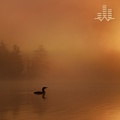 Windy Loon Lake (Loopable No Fade)