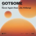 Never Again (feat. Lilly Ahlberg)(Extended Mix)