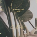 Mr. Käfer、Leavv - Cylinder