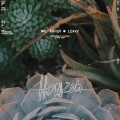 Mr. Käfer、Leavv - Horizon