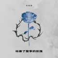 向思思 - 枯萎了整季的玫瑰