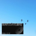 翎龙小王子 - 簇拥烈日的花