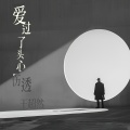 王超然 - 爱过了头心伤透