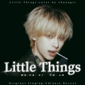 不静音双子 - 어리고 부끄럽고 바보 같은 (Little Things)