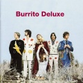 Burrito Deluxe