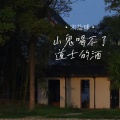 宋盐球 - 山鬼喝不了道士的酒