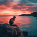 Bestia binaural、Música de la guardería del bebé、Música Relajante para Bebés - Suaves Melodías Costeras Para Gatos