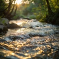 Meditación para la curación、Centrarse en la respiración、Aislamiento etéreo - Refugio Del Bosque Meditativo
