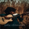 DJ Vini - india (Belly Dance 2024 Guitars Mode)