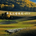 CFLY - 如果让我遇见你