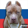 Runnex Codeinov - Wrinkled Dog