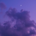 Chapron Rouge、Taoufik Yatabaslam - Drive Forever - Slowed & Reverb