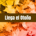 Llega el otoño