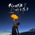 蒋蕙林 - 我的眼泪你不在乎
