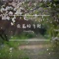 花が散る時です (花落纷飞时)