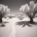 Downtempo Lunatic - Episodes