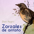 Orquesta Típica Victor、Ernesto Fama - Angustia