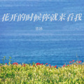 悠扬 - 花开的时候你就来看我