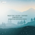 Vassy、Sultan + Shepard - Somebody New