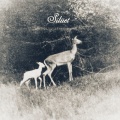 Siluet - Her Kış Bahara Mahkumdur