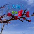悠扬 - 天际