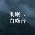 口袋森林 - 下雨-竹林细雨