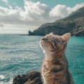 Corrientes Binaurales: Melodías De Relajación Para Gatos