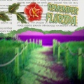 Remember Florida (Explicit)