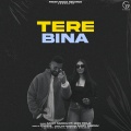 Tere Bina