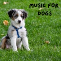 Music For Dogs、Music For Dogs Peace、Relaxing Puppy Music、Calm Pets Music Academy - Meditation Dog