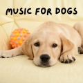 Relaxing Puppy Music、Calm Pets Music Academy、Music For Dogs、Music For Dogs Peace - Meditation Dog Music