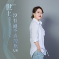 大美 - 世上没有过不去的坎
