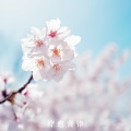 疗愈音律 - 治愈的能量