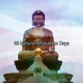 Study Concentration - Grateful Temple